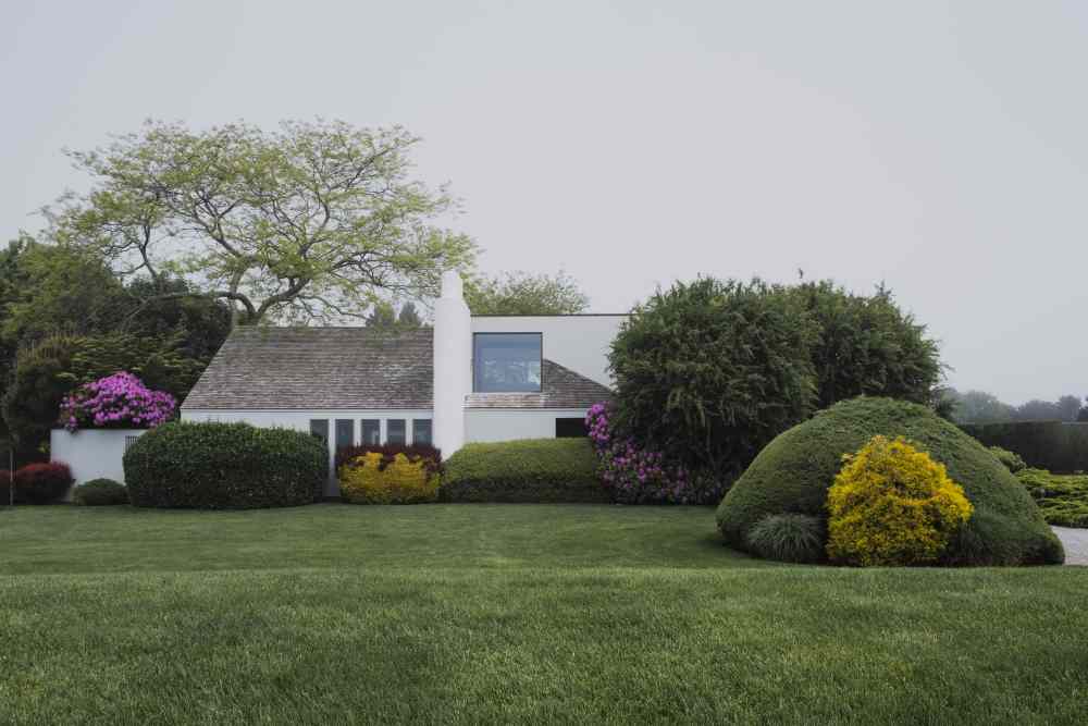green lawn