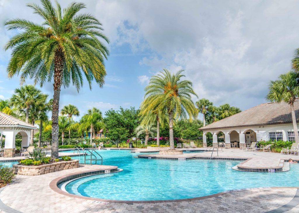 Pool landscaping with palm trees and cabanas